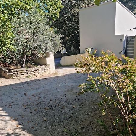 Nouveaute Studio Sur Les Hauteurs. Robion en Luberon Kültér fotó